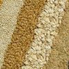 Grains & Staples