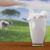 Milk